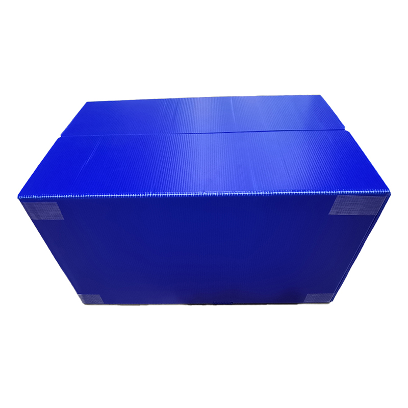 Caja de almacenamiento de plástico corrugado PP con cierre de velcro y orificio para la mano