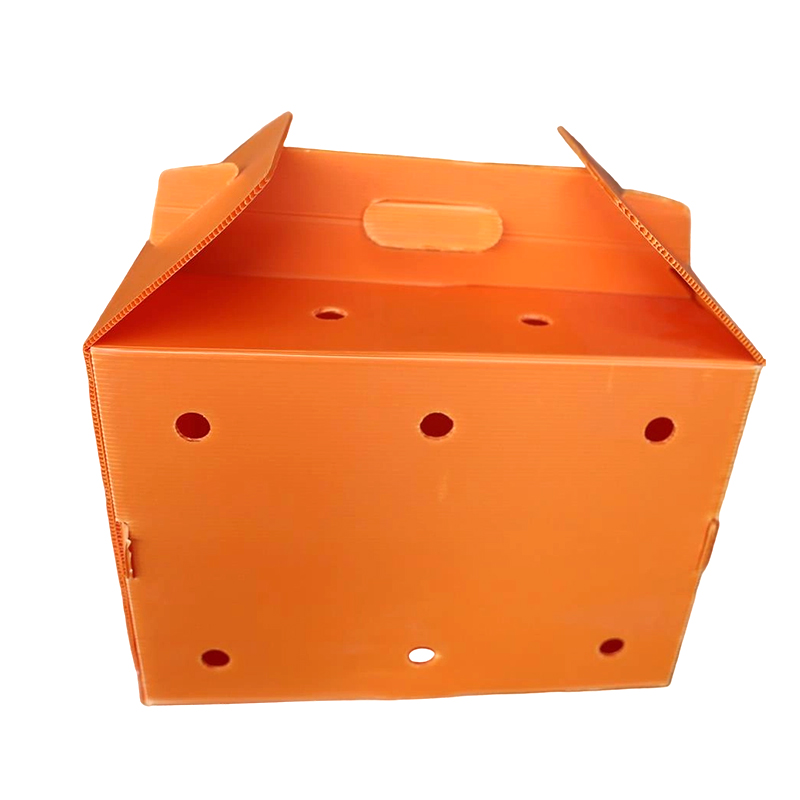 Transportín para mascotas de plástico corrugado con múltiples orificios de aire plegables