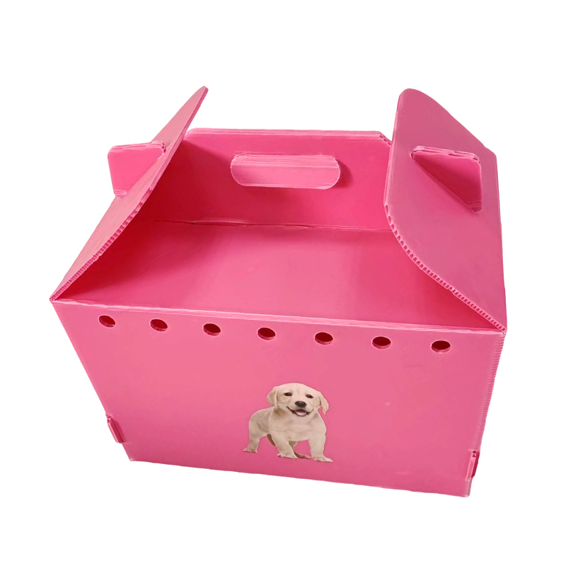 Transportín para mascotas de plástico corrugado con múltiples orificios de aire plegables