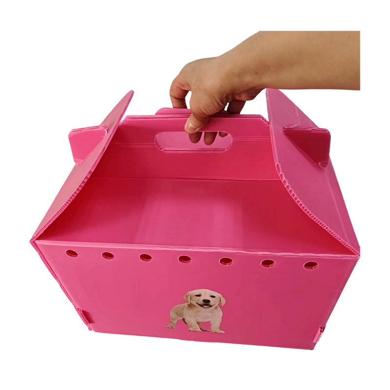 Transportín para mascotas de plástico corrugado con múltiples orificios de aire plegables