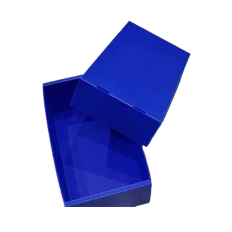 Caja de cubierta superior e inferior de plástico corrugado plegable resistente al polvo