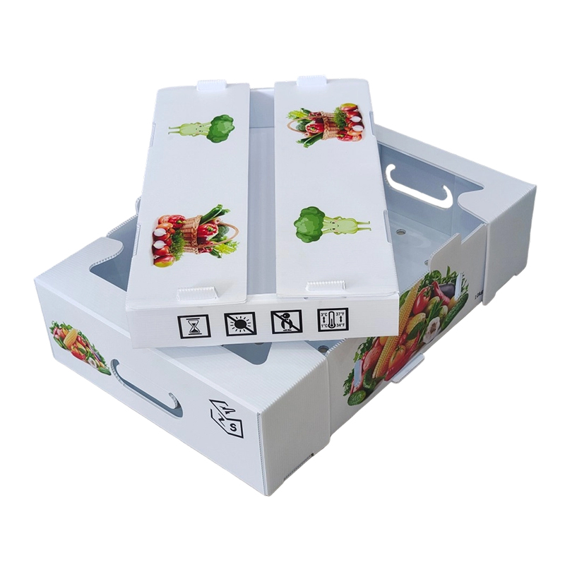 Caja para voltear frutas de plástico corrugado PP impresa personalizada a prueba de humedad