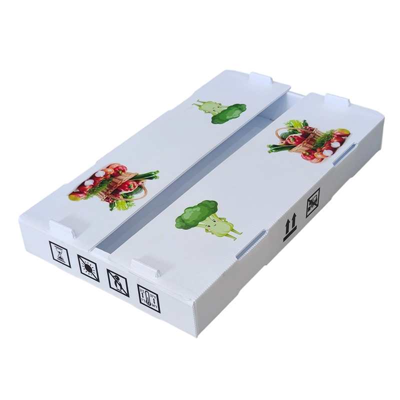 Caja para voltear frutas de plástico corrugado PP impresa personalizada a prueba de humedad