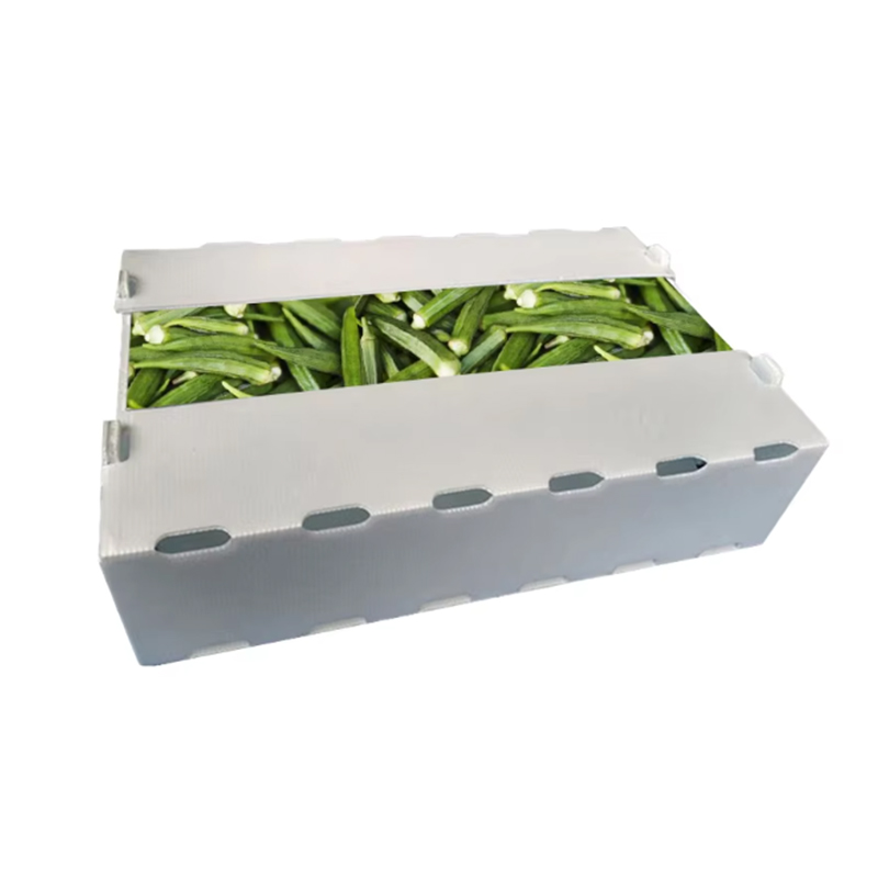 Caja para voltear frutas de plástico corrugado PP impresa personalizada a prueba de humedad