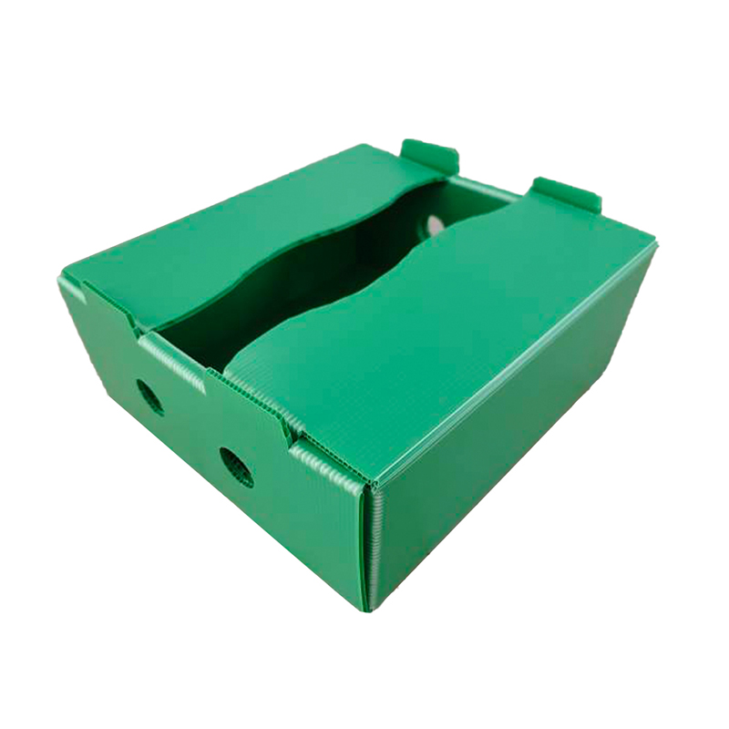 Caja para voltear frutas de plástico corrugado PP impresa personalizada a prueba de humedad