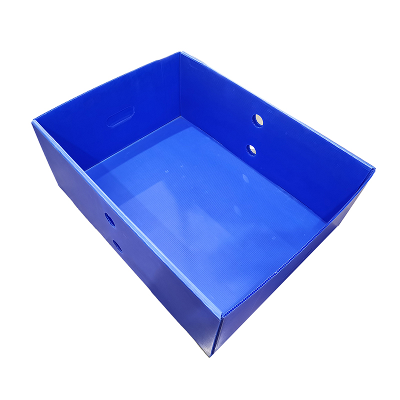 Caja de cubierta superior e inferior de plástico corrugado reutilizable
