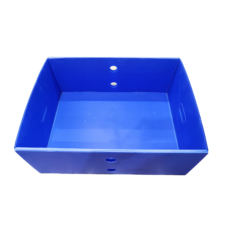 Caja de cubierta superior e inferior de plástico corrugado reutilizable