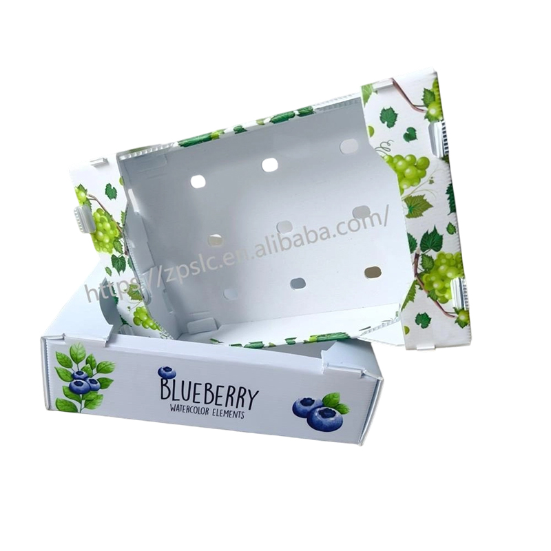 Caja plegable de plástico corrugado PP con orificios de ventilación