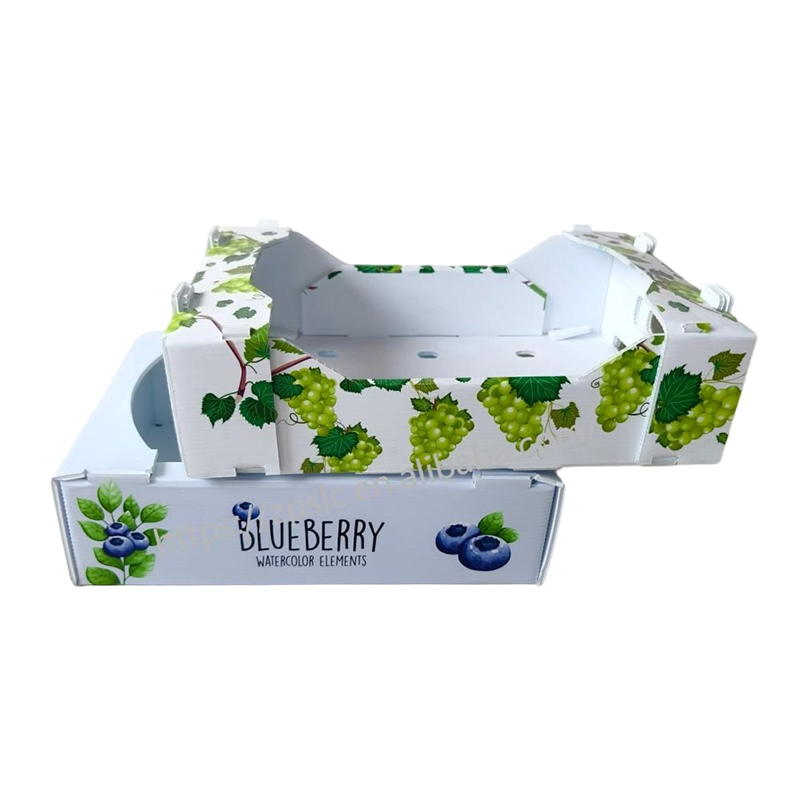 Caja plegable de plástico corrugado PP con orificios de ventilación