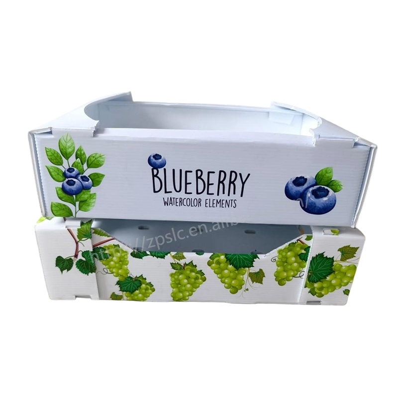 Caja plegable de plástico corrugado PP con orificios de ventilación
