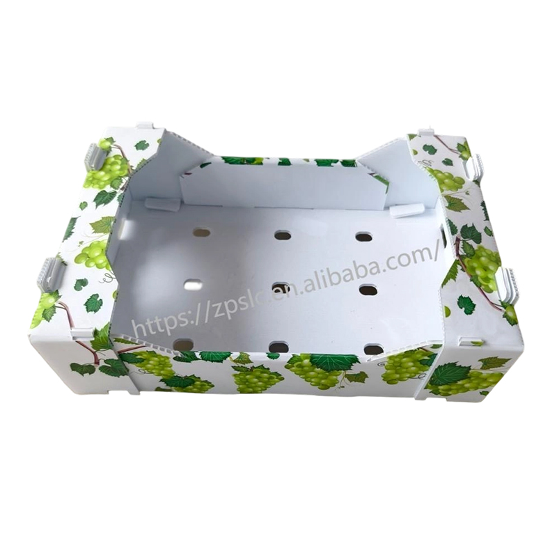 Caja plegable de plástico corrugado PP con orificios de ventilación