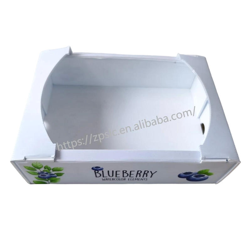 Caja plegable de plástico corrugado PP con orificios de ventilación