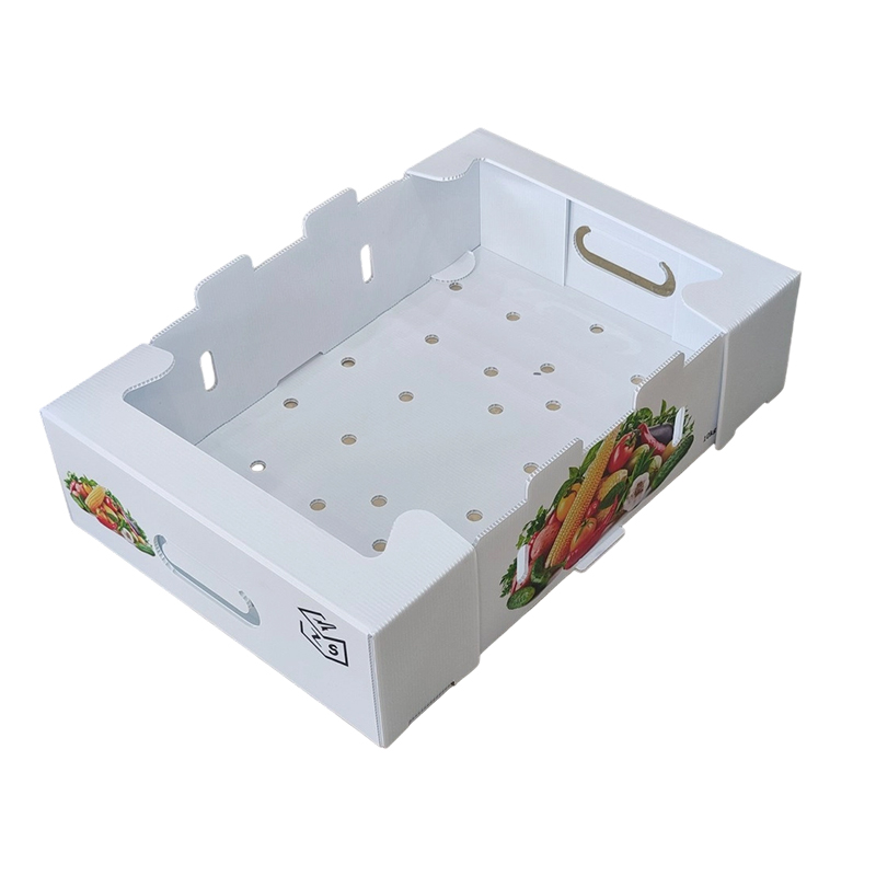 Caja plegable de plástico corrugado PP con orificios de ventilación
