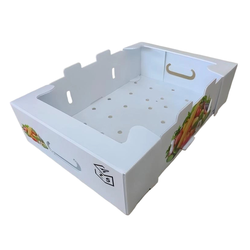 Caja plegable de plástico corrugado PP con orificios de ventilación