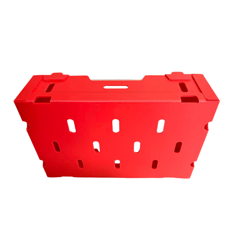 Caja corrugada de PP impresa plegable para verduras y frutas