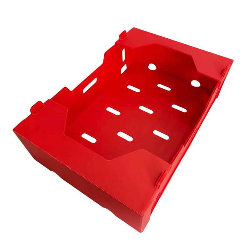 Caja corrugada de PP impresa plegable para verduras y frutas