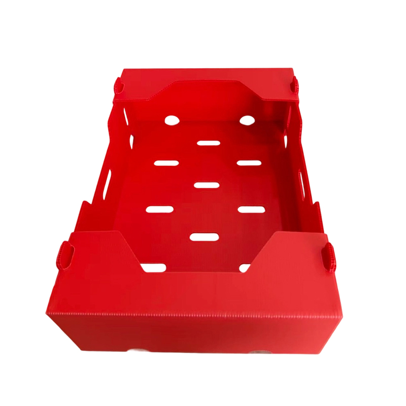 Caja corrugada de PP impresa plegable para verduras y frutas