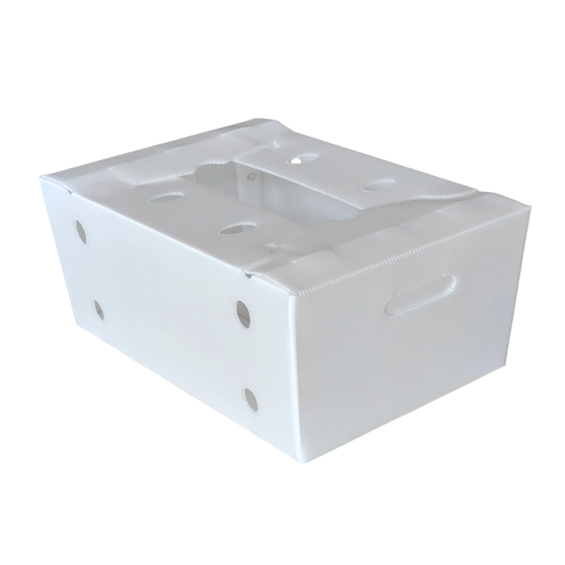 Caja de embalaje de frutas corrugadas de plástico apilable con tapa abierta
