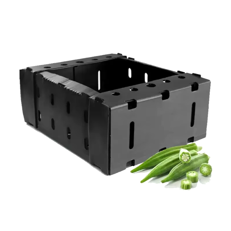 Caja de embalaje de frutas corrugadas de plástico apilable con tapa abierta
