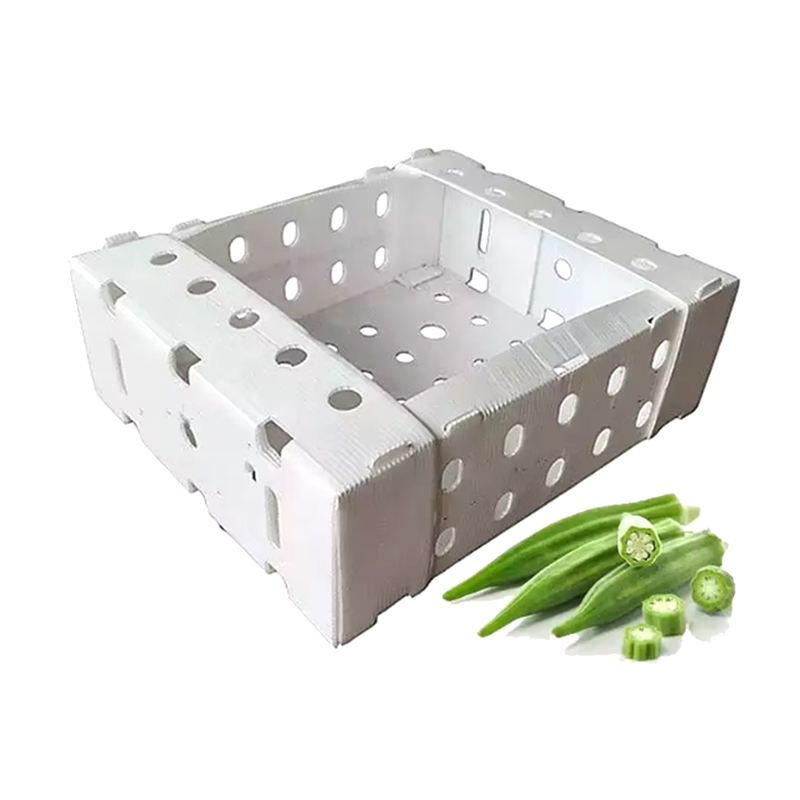 Caja de embalaje de frutas corrugadas de plástico apilable con tapa abierta