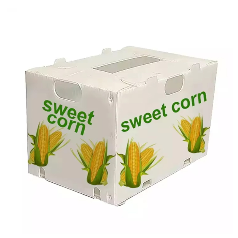 Caja de frutas de corflauta de PP impermeable y reutilizable