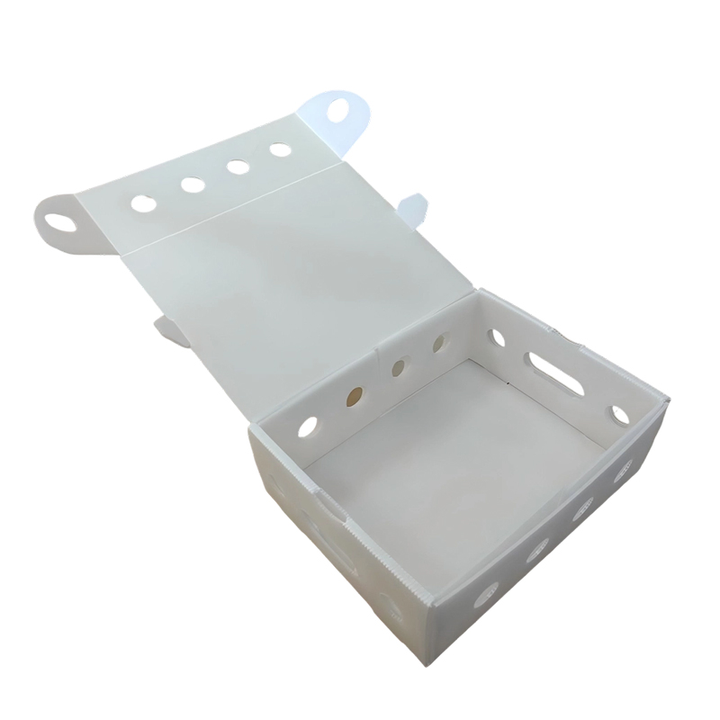 Caja de embalaje de láminas huecas de PP ventiladas apilables