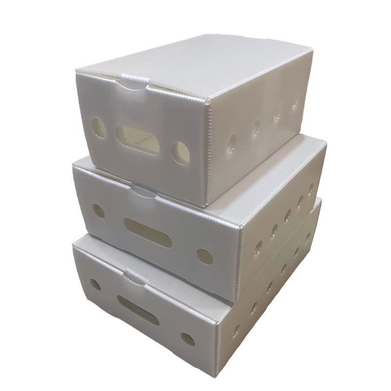 Caja de embalaje de láminas huecas de PP ventiladas apilables