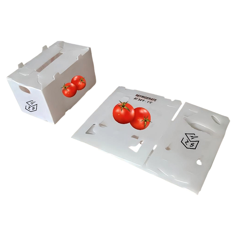 Caja de frutas y verduras de plástico corrugado PP con impresión personalizada y ventilada